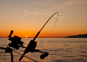 Photo by <a href="https://unsplash.com/@souvenirpixels?utm_source=unsplash&utm_medium=referral&utm_content=creditCopyText">James Wheeler</a> on <a href="https://unsplash.com/s/photos/fishing?utm_source=unsplash&utm_medium=referral&utm_content=creditCopyText">Unsplash</a>